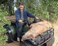 Boar_1.jpg